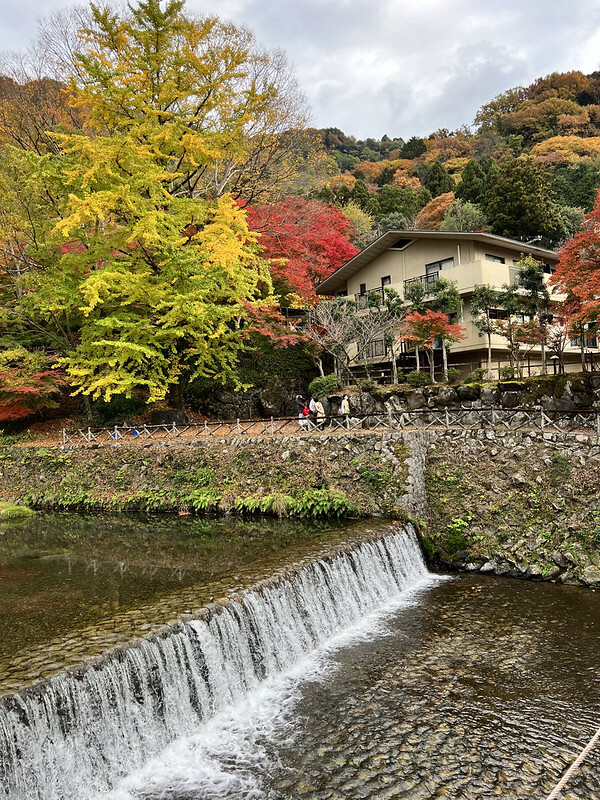 【亞洲，日本，京都】八瀨大原瑠璃光院，一年只開放兩季的絕美京都賞楓點。（京都賞楓，京都旅遊）