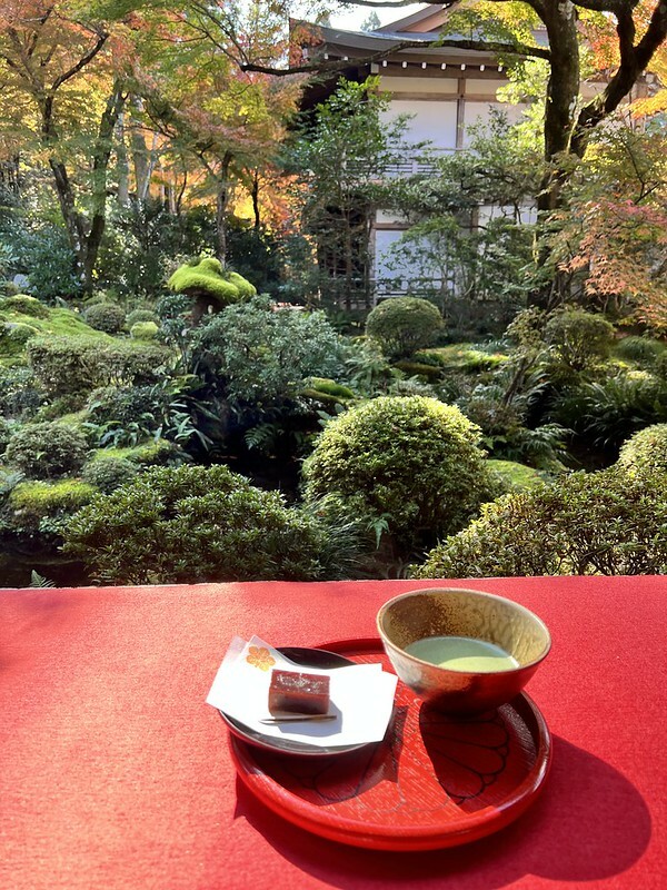 【亞洲,日本,京都】感受京都幽靜之美:四季美景的「三千院」。午餐吃「Shino Shoumon 志野松門」湯豆腐。