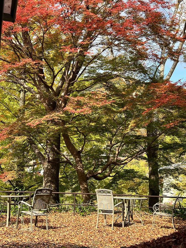【亞洲，日本，京都】八瀨大原瑠璃光院，一年只開放兩季的絕美京都賞楓點。（京都賞楓，京都旅遊）