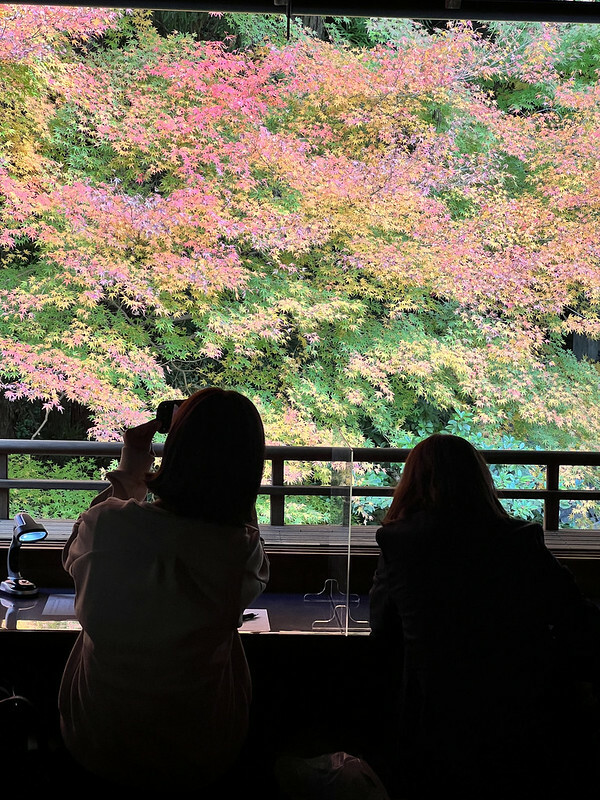 【亞洲，日本，京都】八瀨大原瑠璃光院，一年只開放兩季的絕美京都賞楓點。（京都賞楓，京都旅遊）
