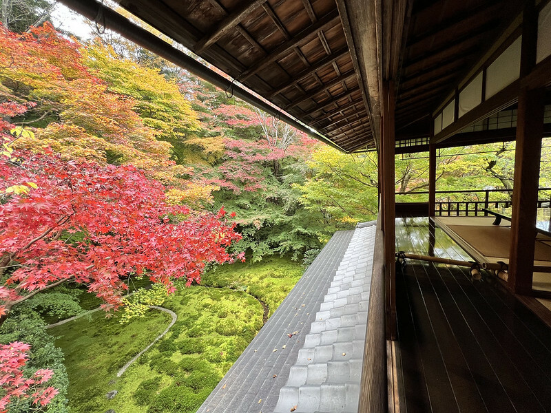 【亞洲，日本，京都】八瀨大原瑠璃光院，一年只開放兩季的絕美京都賞楓點。（京都賞楓，京都旅遊）