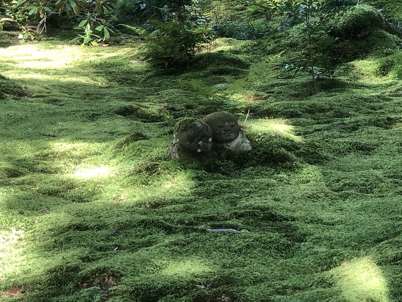 【亞洲,日本,京都】感受京都幽靜之美:四季美景的「三千院」。午餐吃「Shino Shoumon 志野松門」湯豆腐。