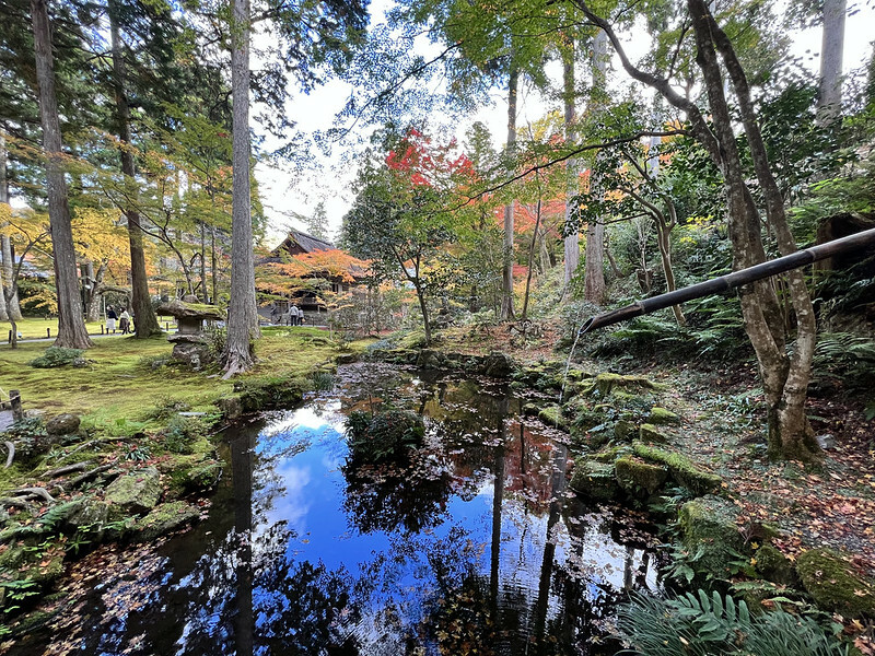 【亞洲,日本,京都】感受京都幽靜之美:四季美景的「三千院」。午餐吃「Shino Shoumon 志野松門」湯豆腐。