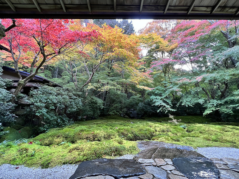 【亞洲，日本，京都】八瀨大原瑠璃光院，一年只開放兩季的絕美京都賞楓點。（京都賞楓，京都旅遊）