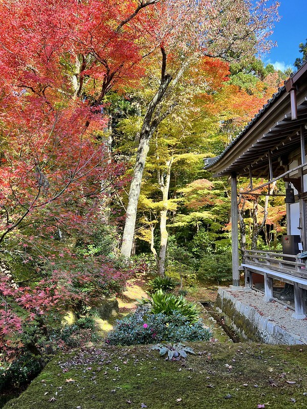 【亞洲,日本,京都】感受京都幽靜之美:四季美景的「三千院」。午餐吃「Shino Shoumon 志野松門」湯豆腐。