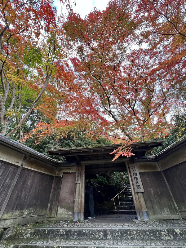 【亞洲，日本，京都】八瀨大原瑠璃光院，一年只開放兩季的絕美京都賞楓點。（京都賞楓，京都旅遊）