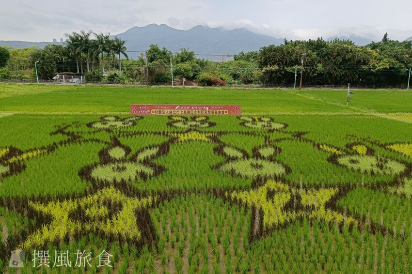 「台北大縱走第八段」木柵至關渡河濱公園36公里伴水騎行！從景美溪、新店溪到淡水河