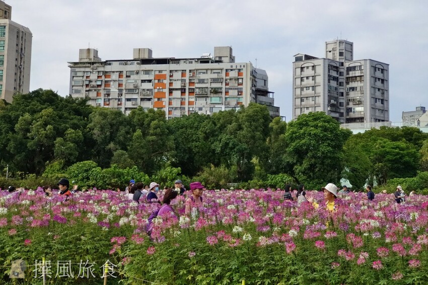 「台北大縱走第八段」木柵至關渡河濱公園36公里伴水騎行！從景美溪、新店溪到淡水河