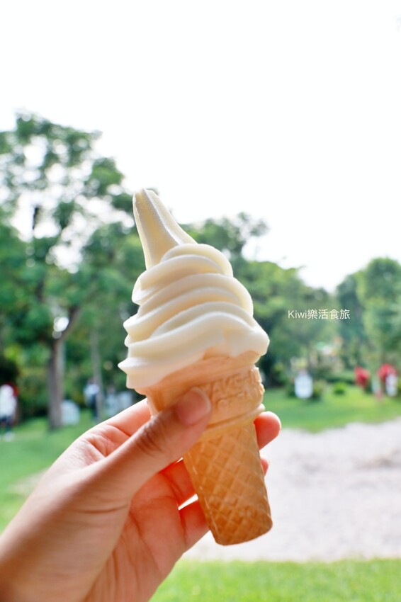 苗栗雅聞香草植物工廠｜繽紛玫瑰花包圍如玫瑰仙境般免費參觀，三義限定景點