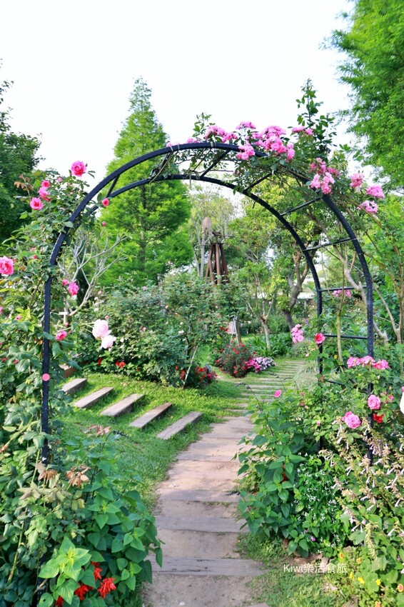 苗栗雅聞香草植物工廠｜繽紛玫瑰花包圍如玫瑰仙境般免費參觀，三義限定景點