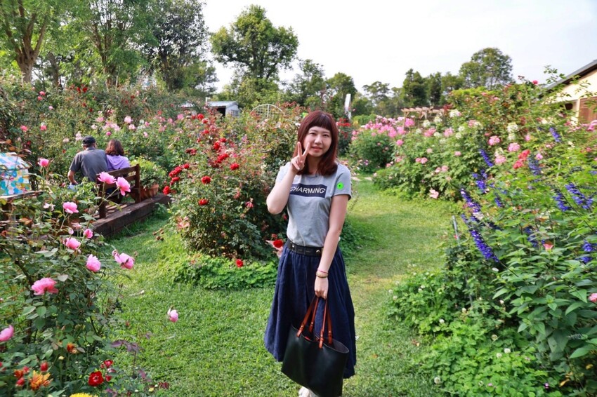 苗栗雅聞香草植物工廠｜繽紛玫瑰花包圍如玫瑰仙境般免費參觀，三義限定景點