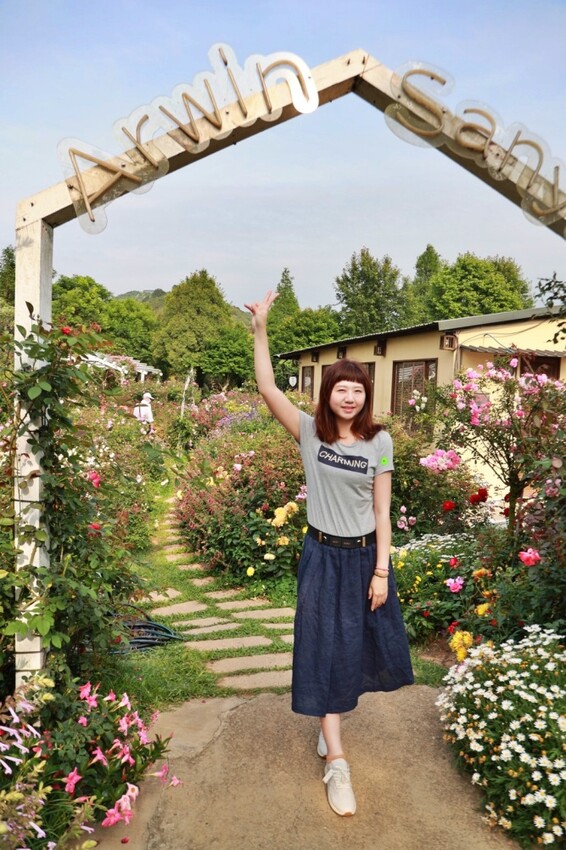 苗栗雅聞香草植物工廠｜繽紛玫瑰花包圍如玫瑰仙境般免費參觀，三義限定景點