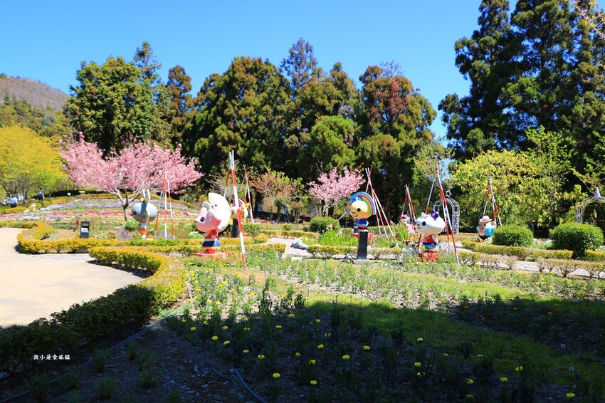 清境農場小瑞士花園‧著名的水上教堂、落羽松步道及綠光森林花園,晚上還有燈光秀 - 敦 小 蓮の食旅錄