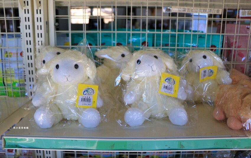 清境農場-青青草原‧櫻花盛開之際來看可愛的羊咩咩,綿羊秀只有假日才有 - 敦 小 蓮の食旅錄