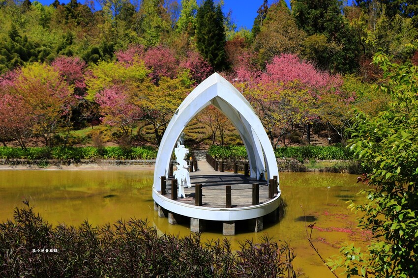 清境農場小瑞士花園‧著名的水上教堂、落羽松步道及綠光森林花園,晚上還有燈光秀 - 敦 小 蓮の食旅錄