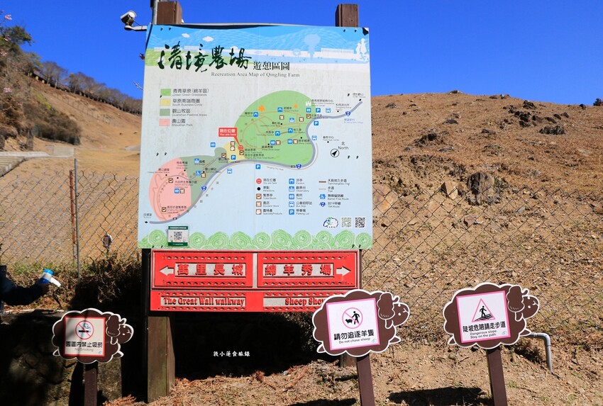 清境農場-青青草原‧櫻花盛開之際來看可愛的羊咩咩,綿羊秀只有假日才有 - 敦 小 蓮の食旅錄