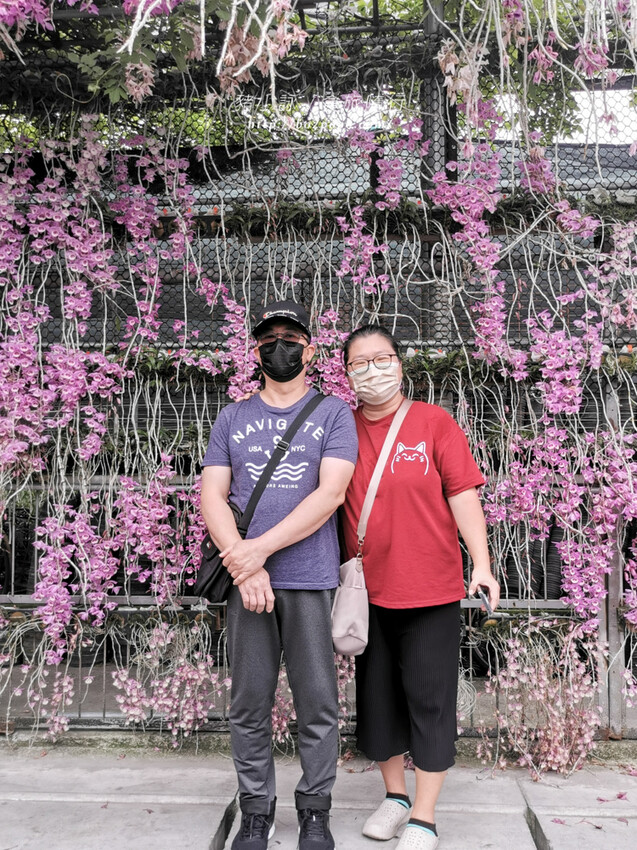 雲林。莿桐》忠雲宮。夢幻粉嫩、粉紫交錯的石斛蘭隧道瀑布