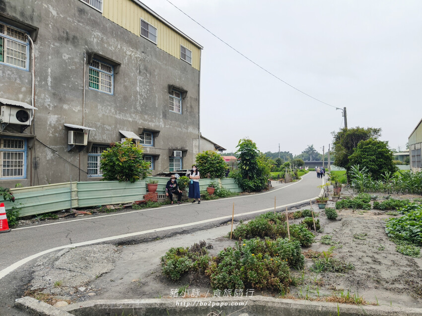 雲林。莿桐》忠雲宮。夢幻粉嫩、粉紫交錯的石斛蘭隧道瀑布