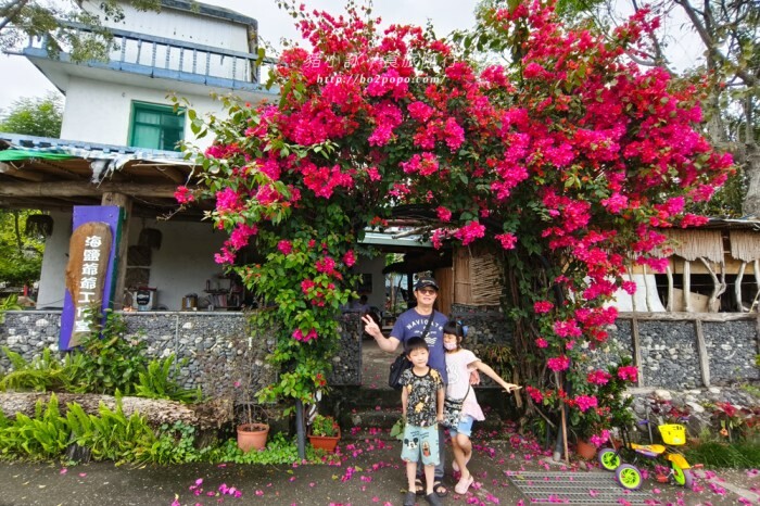 雲林。莿桐》忠雲宮。夢幻粉嫩、粉紫交錯的石斛蘭隧道瀑布