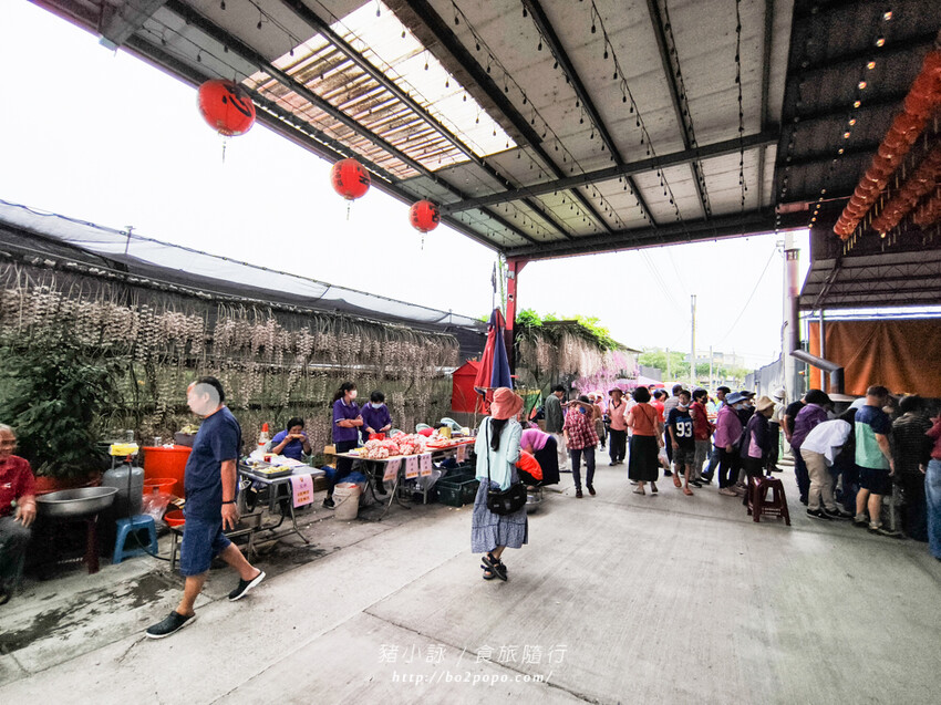 雲林。莿桐》忠雲宮。夢幻粉嫩、粉紫交錯的石斛蘭隧道瀑布