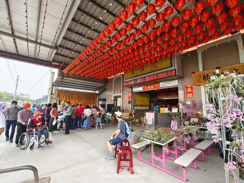 雲林。莿桐》忠雲宮。夢幻粉嫩、粉紫交錯的石斛蘭隧道瀑布