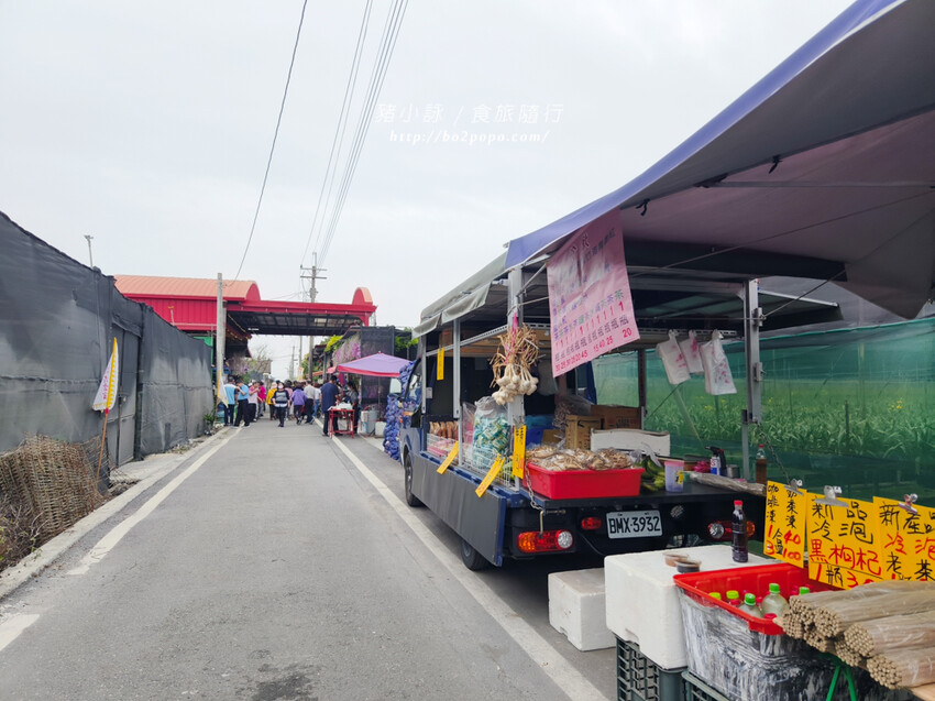 雲林。莿桐》忠雲宮。夢幻粉嫩、粉紫交錯的石斛蘭隧道瀑布