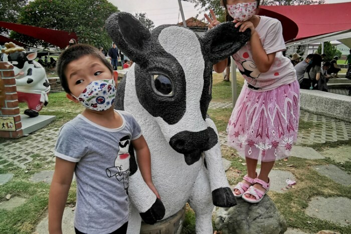 雲林。莿桐》忠雲宮。夢幻粉嫩、粉紫交錯的石斛蘭隧道瀑布