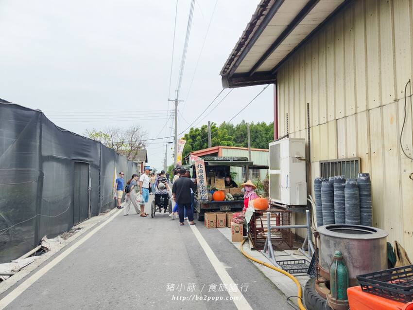 雲林。莿桐》忠雲宮。夢幻粉嫩、粉紫交錯的石斛蘭隧道瀑布