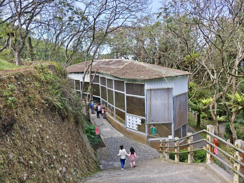 【南投親子景點】鳳凰谷鳥園生態園區.銅板價暢遊溜滑梯、鳥園!