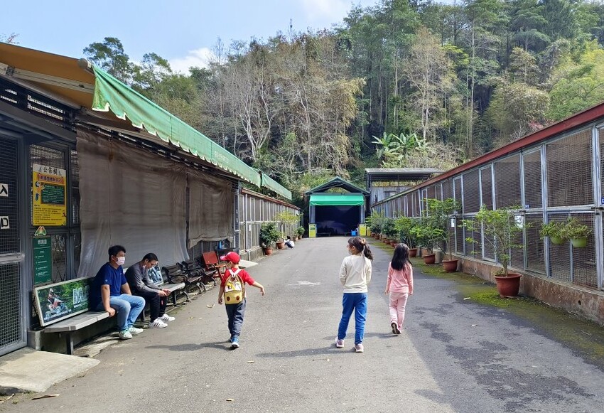【南投親子景點】鳳凰谷鳥園生態園區.銅板價暢遊溜滑梯、鳥園!