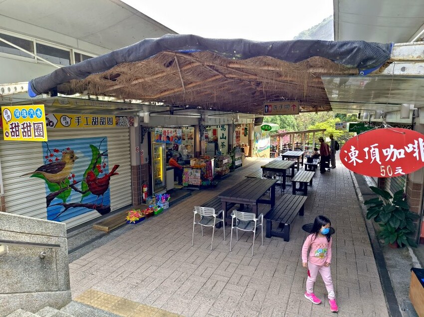 【南投親子景點】鳳凰谷鳥園生態園區.銅板價暢遊溜滑梯、鳥園!