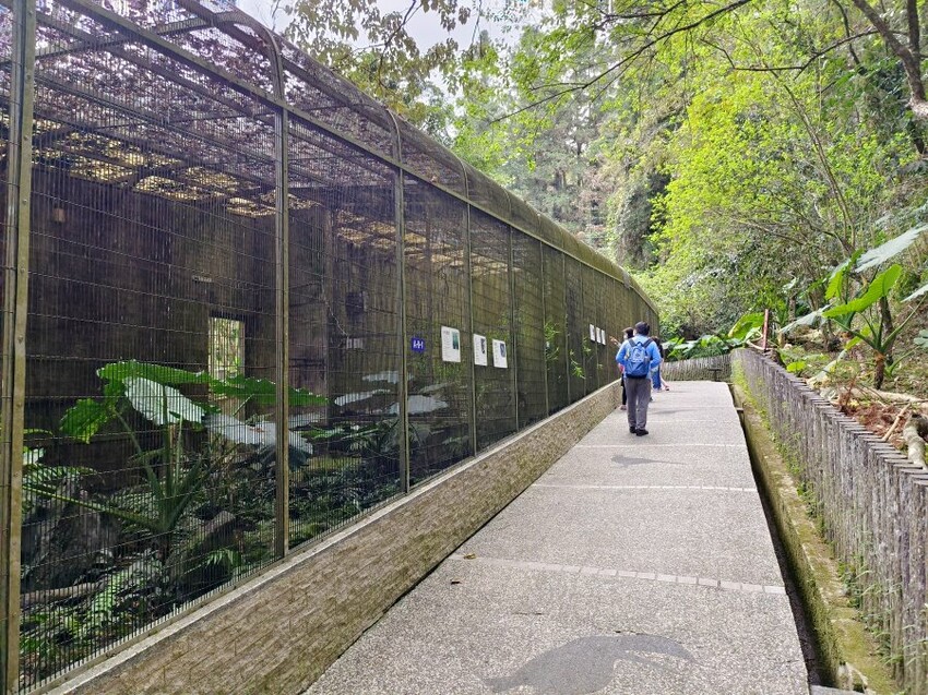 【南投親子景點】鳳凰谷鳥園生態園區.銅板價暢遊溜滑梯、鳥園!
