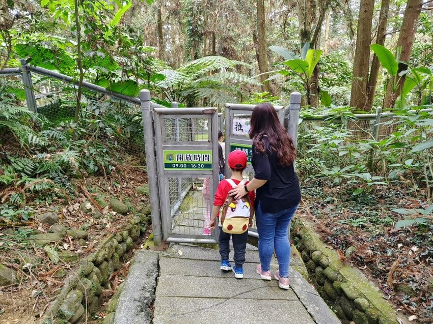 【南投親子景點】鳳凰谷鳥園生態園區.銅板價暢遊溜滑梯、鳥園!