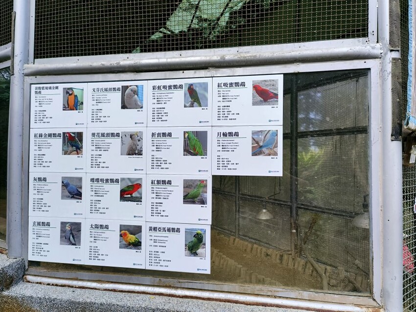 【南投親子景點】鳳凰谷鳥園生態園區.銅板價暢遊溜滑梯、鳥園!
