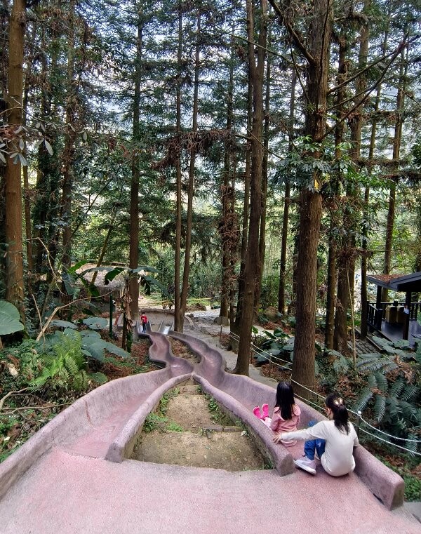【南投親子景點】鳳凰谷鳥園生態園區.銅板價暢遊溜滑梯、鳥園!
