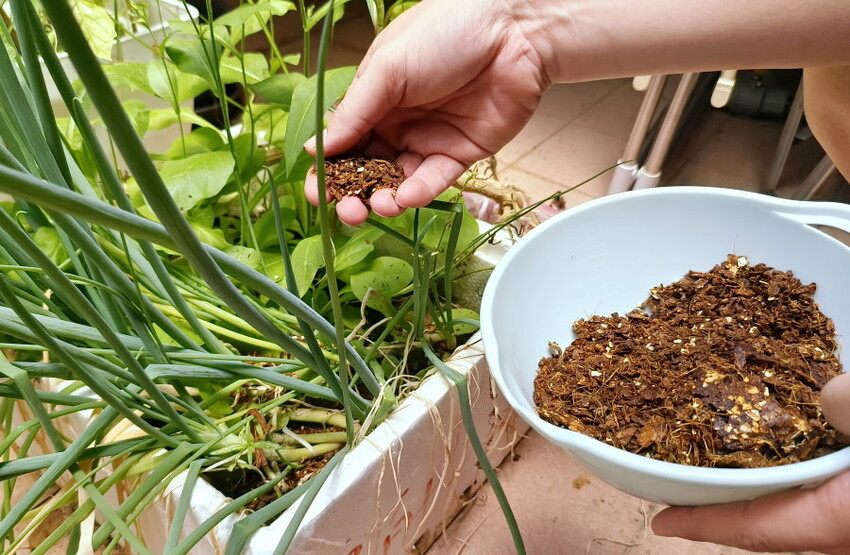 SANSUI山水廚餘機開箱．APP操控、低溫發酵堆肥、烘乾除臭殺菌!