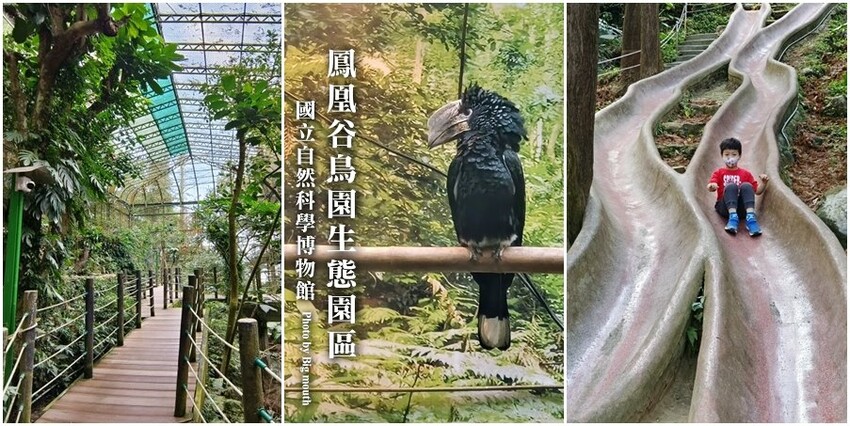 【南投親子景點】鳳凰谷鳥園生態園區.銅板價暢遊溜滑梯、鳥園!