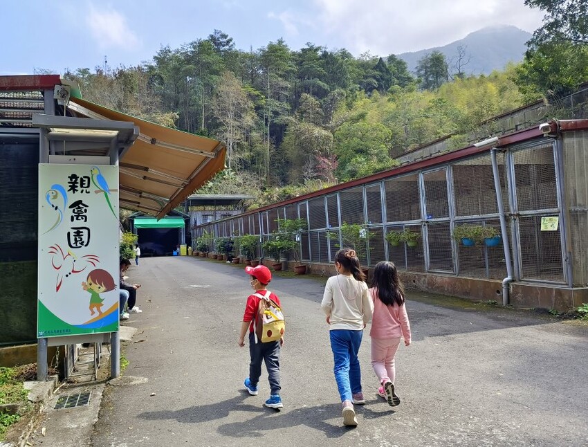 【南投親子景點】鳳凰谷鳥園生態園區.銅板價暢遊溜滑梯、鳥園!