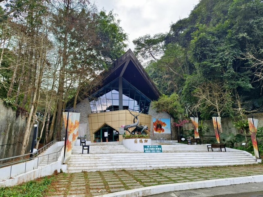 【南投親子景點】鳳凰谷鳥園生態園區.銅板價暢遊溜滑梯、鳥園!