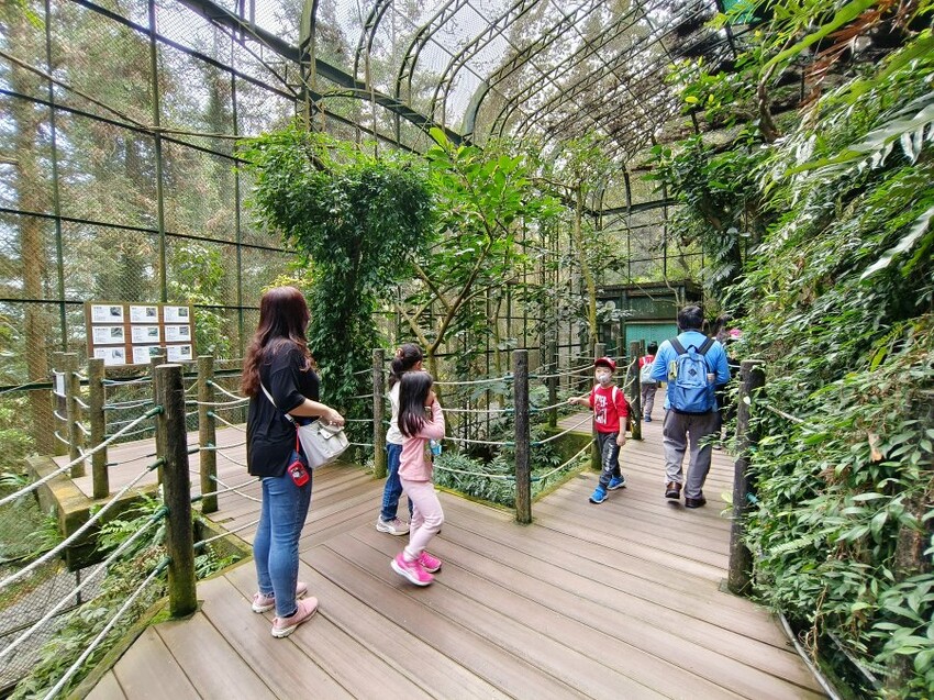 【南投親子景點】鳳凰谷鳥園生態園區.銅板價暢遊溜滑梯、鳥園!