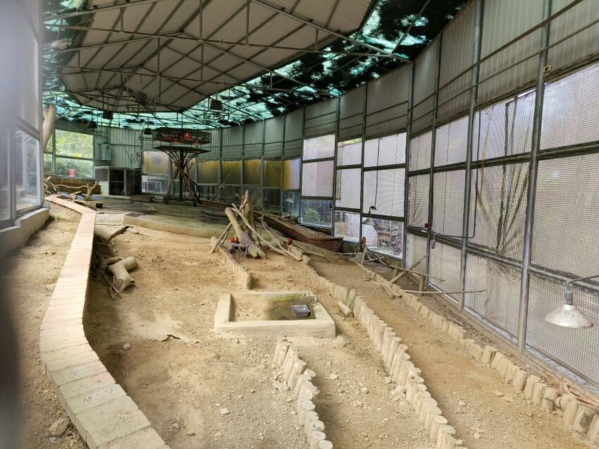 【南投親子景點】鳳凰谷鳥園生態園區.銅板價暢遊溜滑梯、鳥園!