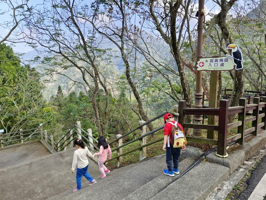 【南投親子景點】鳳凰谷鳥園生態園區.銅板價暢遊溜滑梯、鳥園!