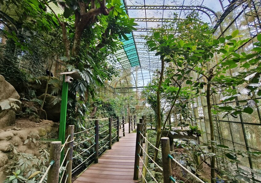 【南投親子景點】鳳凰谷鳥園生態園區.銅板價暢遊溜滑梯、鳥園!