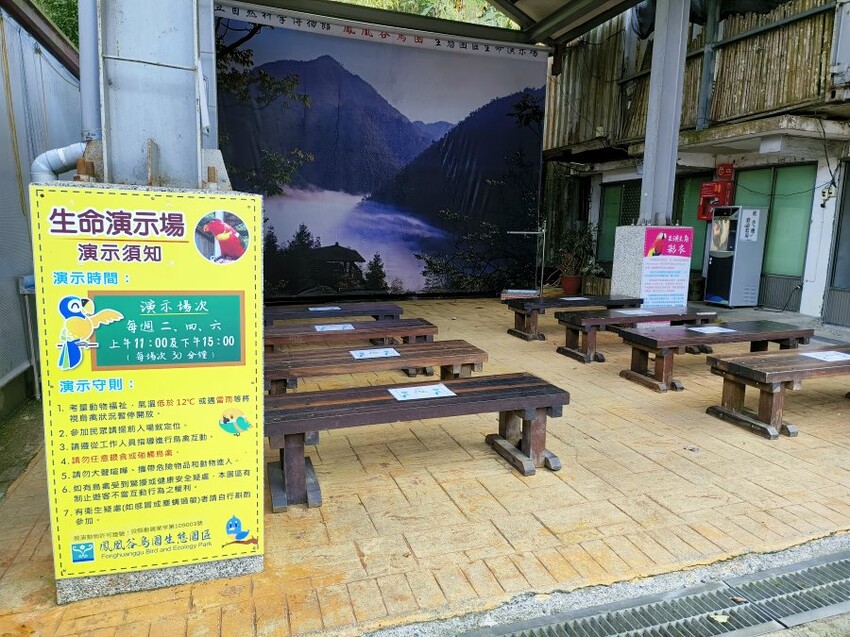 【南投親子景點】鳳凰谷鳥園生態園區.銅板價暢遊溜滑梯、鳥園!