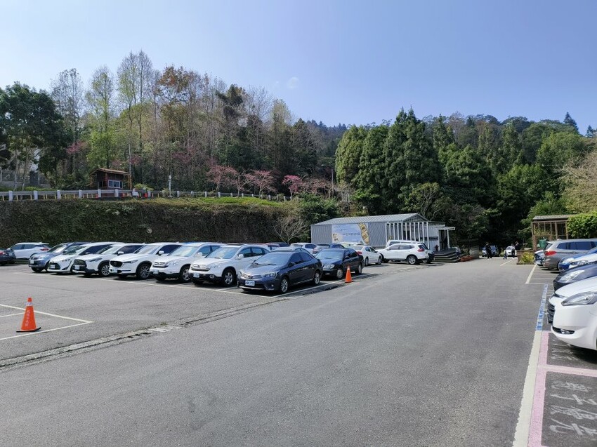 【南投親子景點】鳳凰谷鳥園生態園區.銅板價暢遊溜滑梯、鳥園!