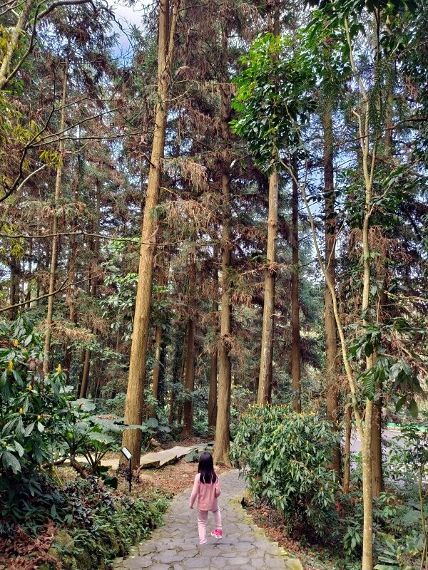 【南投親子景點】鳳凰谷鳥園生態園區.銅板價暢遊溜滑梯、鳥園!