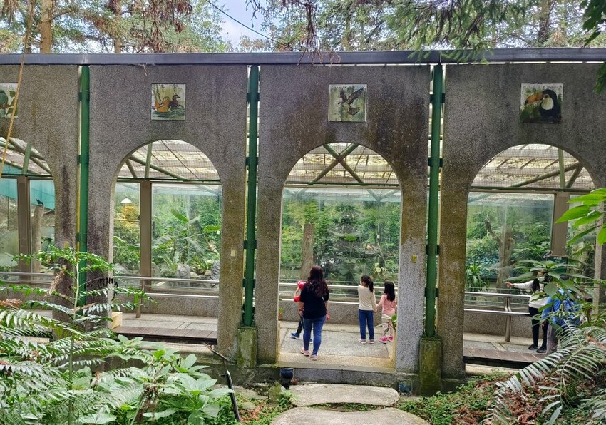 【南投親子景點】鳳凰谷鳥園生態園區.銅板價暢遊溜滑梯、鳥園!