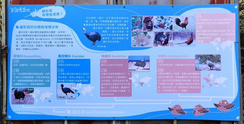 【南投親子景點】鳳凰谷鳥園生態園區.銅板價暢遊溜滑梯、鳥園!