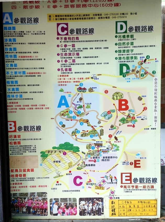 【南投親子景點】鳳凰谷鳥園生態園區.銅板價暢遊溜滑梯、鳥園!