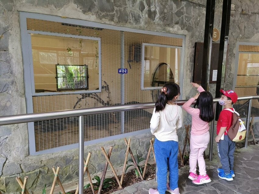 【南投親子景點】鳳凰谷鳥園生態園區.銅板價暢遊溜滑梯、鳥園!
